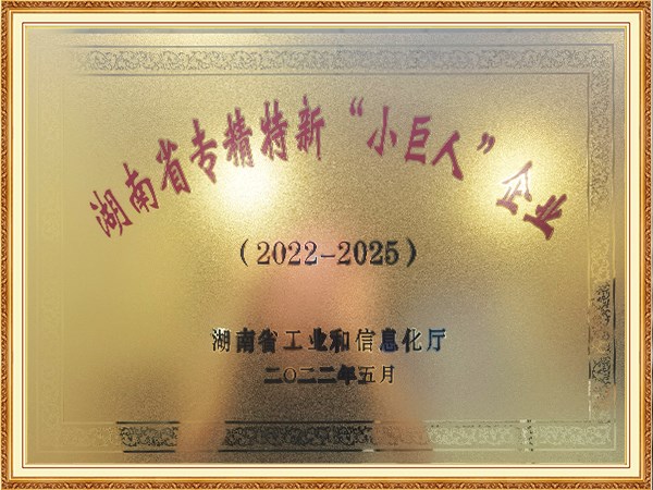 2022-2025湖南省专精特新“小巨人”企业